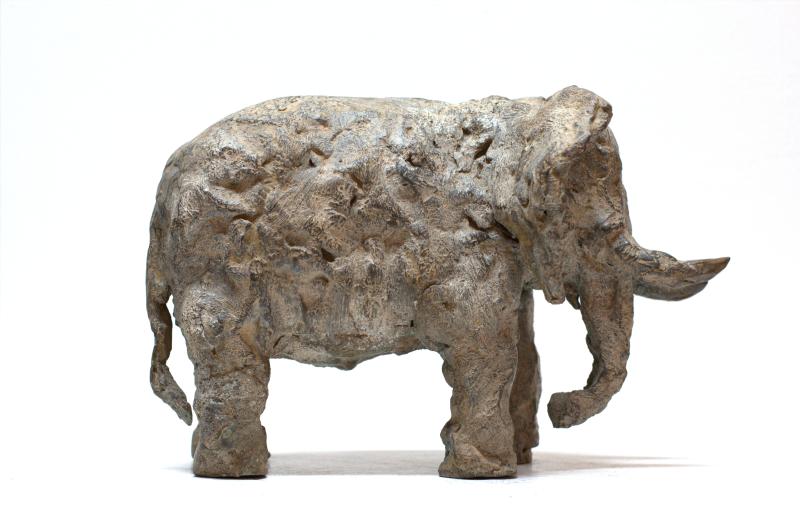Foto 2 van Olifant