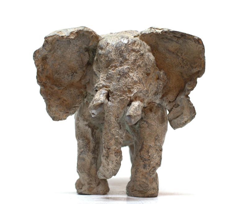 Foto 3 van Olifant