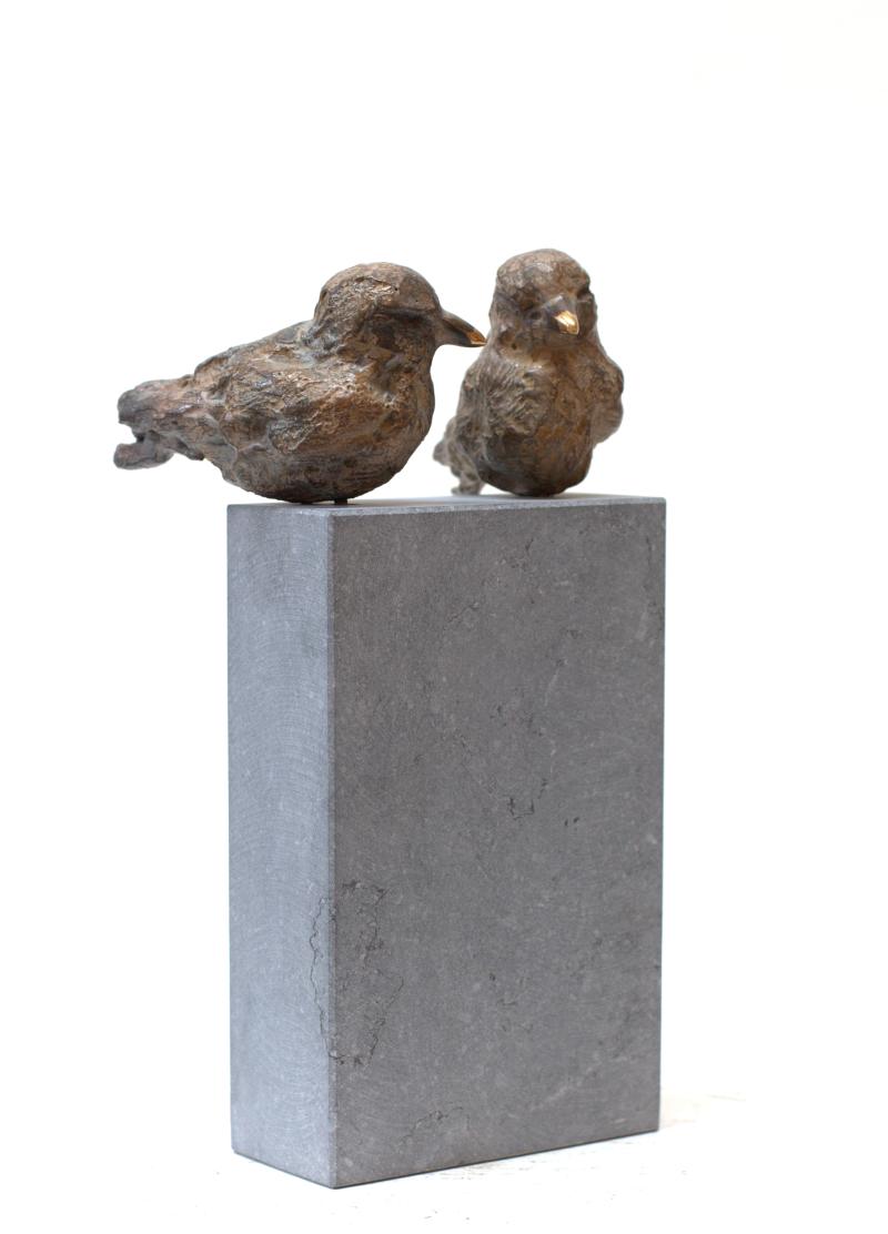 Foto 2 van Twee musjes
