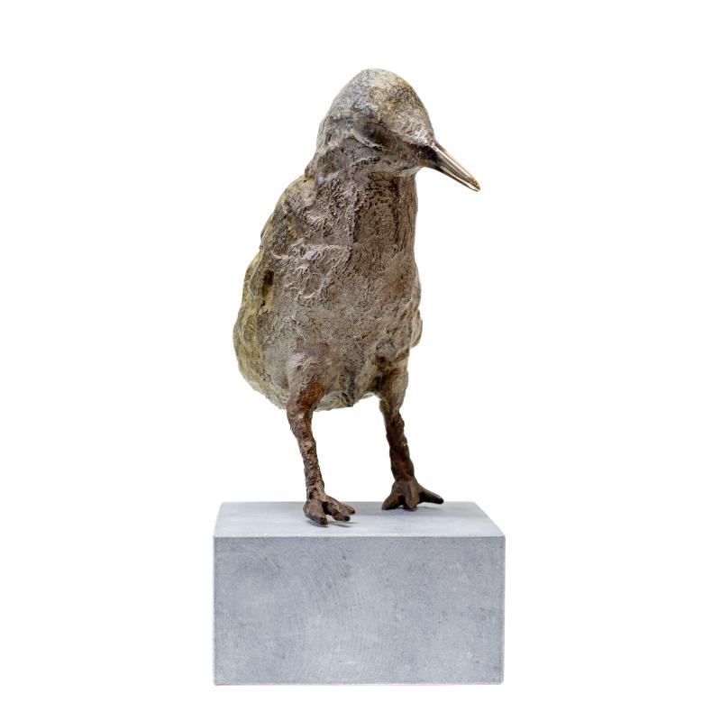 Foto 2 van Strandlopertje