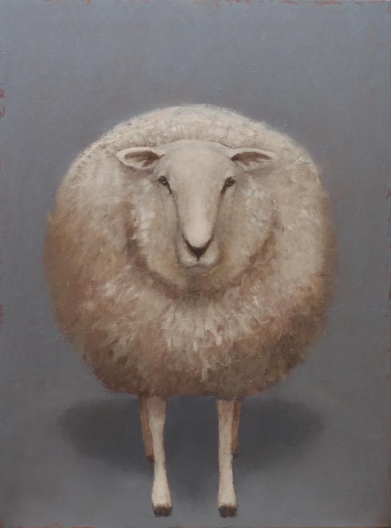 Hoofdfoto Schaap (verkocht)