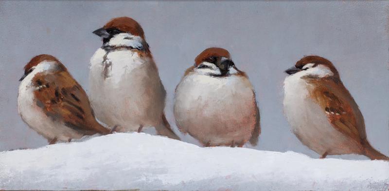Hoofdfoto Musjes in de sneeuw