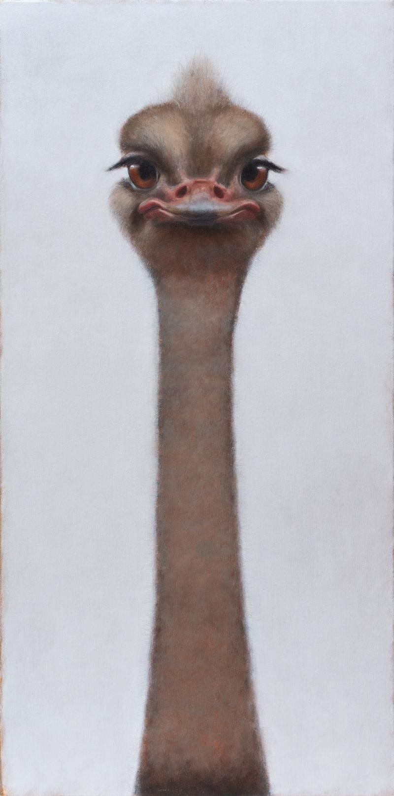 Hoofdfoto Struisvogel (verkocht)