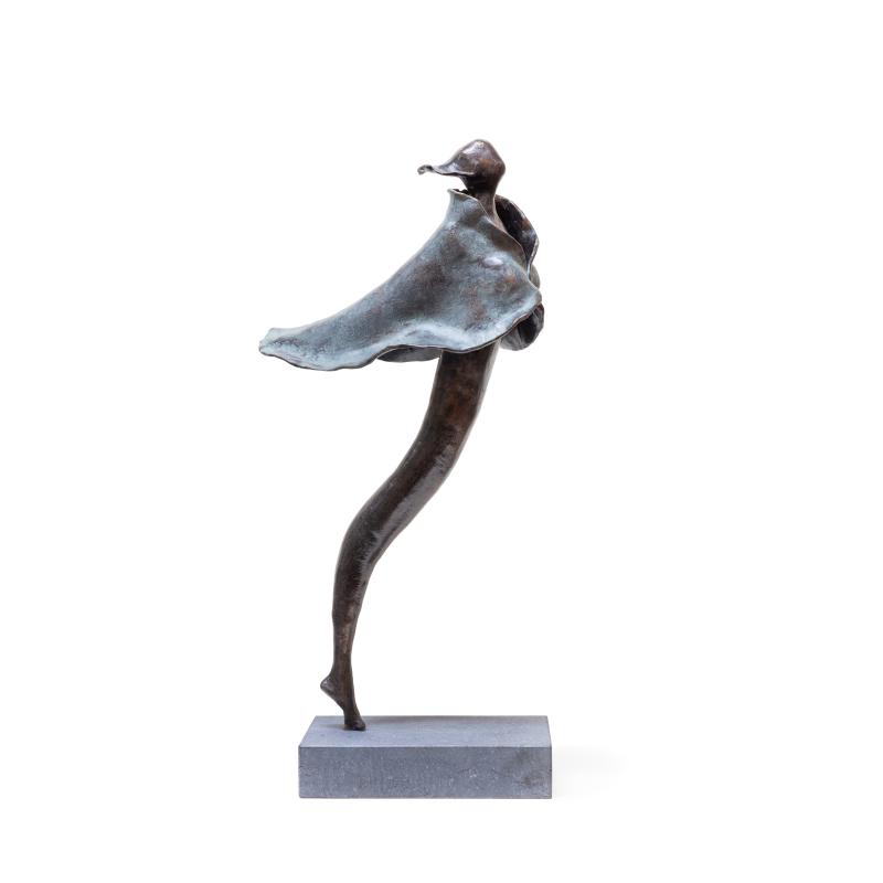 Hoofdfoto In the wind