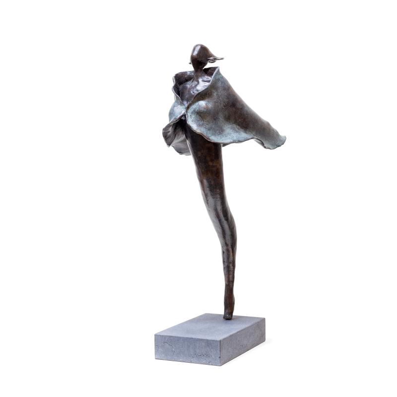 Foto 2 van In the wind