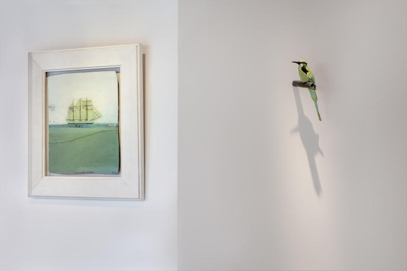 Foto 3 van Green Brigatine