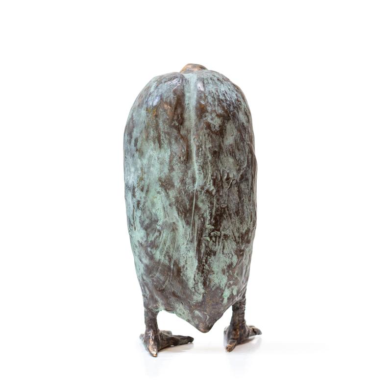 Foto 2 van Verdriet in Veren (roerdomp)