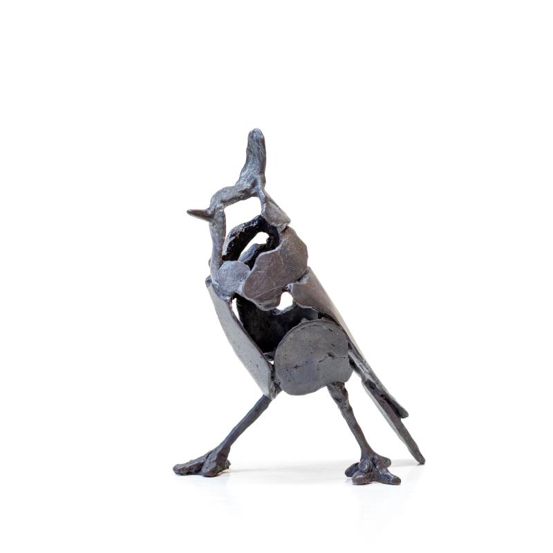 Hoofdfoto Mees met kuif