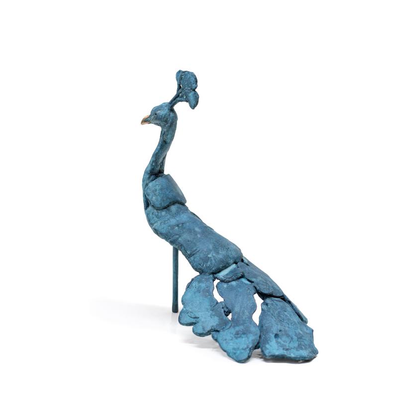 Hoofdfoto Koning Argus