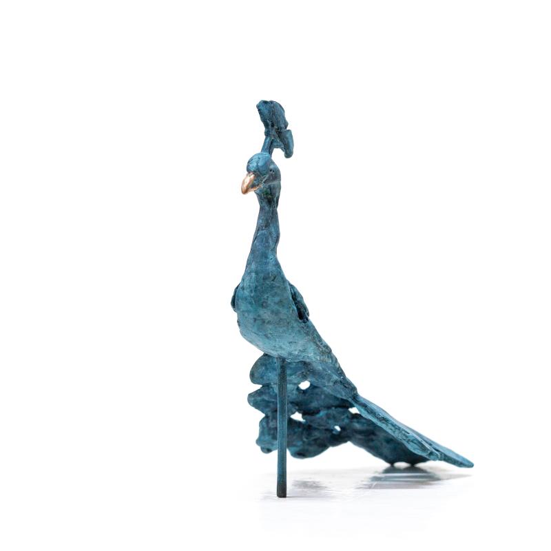 Foto 2 van Koning Argus