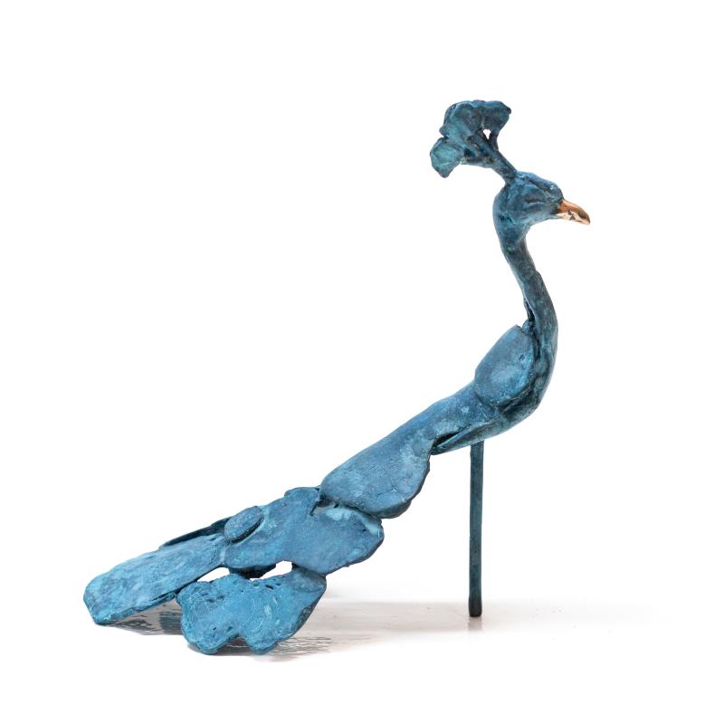 Foto 3 van Koning Argus