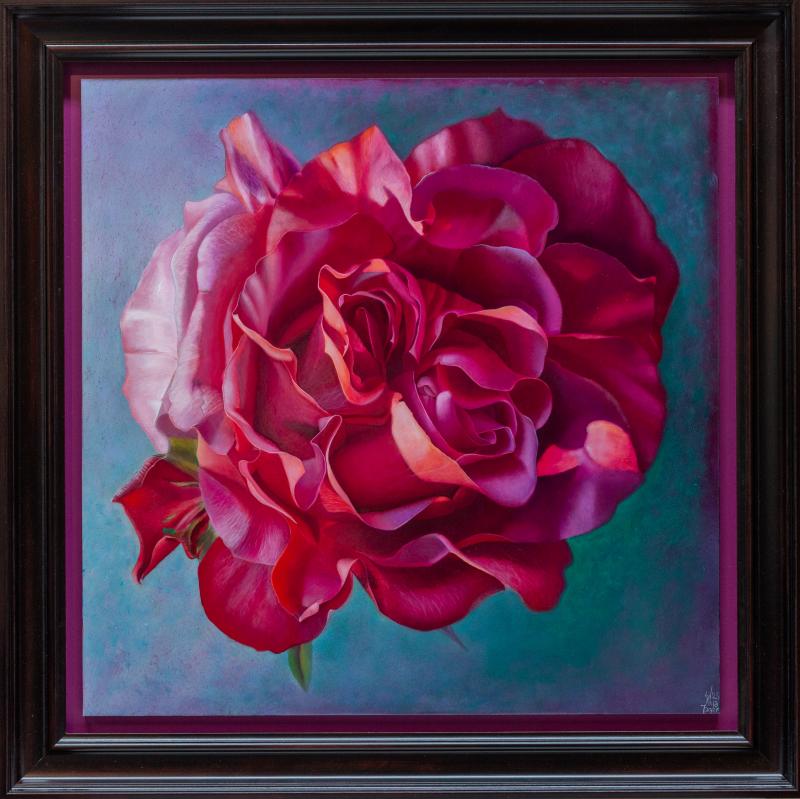 Hoofdfoto Dubbelhartige roos