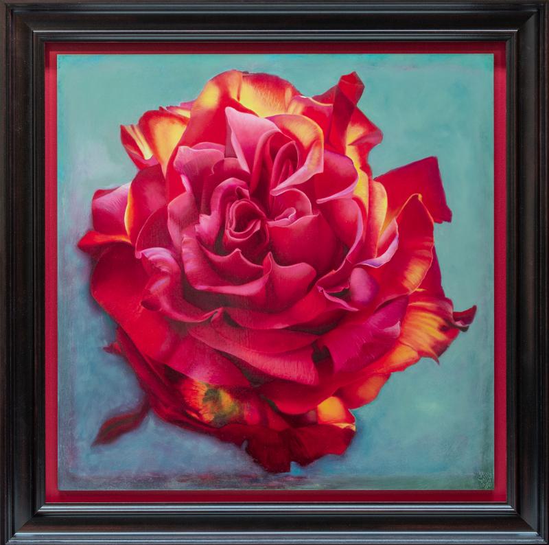 Hoofdfoto Driedubbelhartige roos