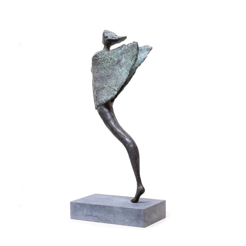 Foto 3 van In the sky