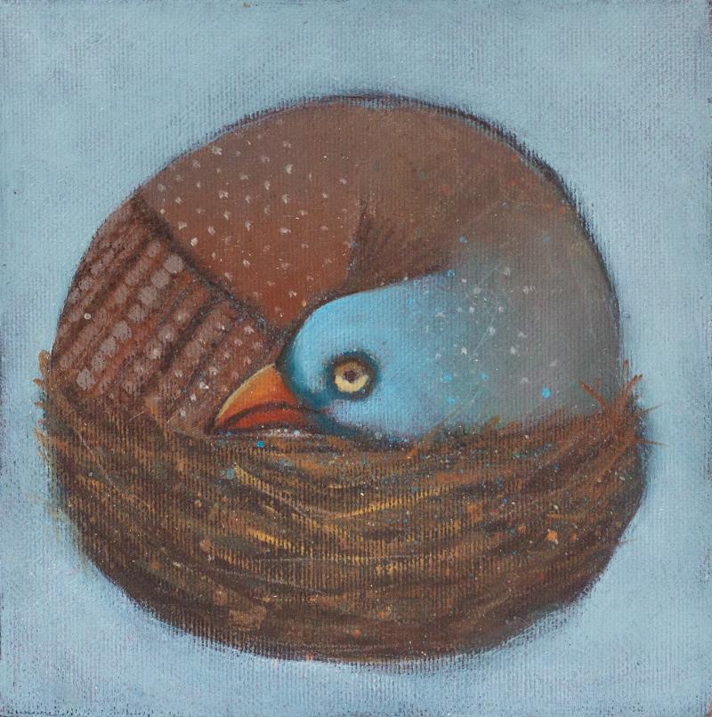 Hoofdfoto Eerste nestje