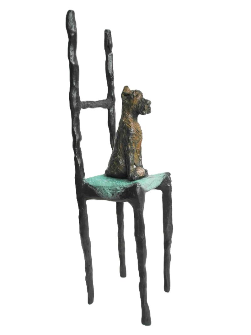 Hoofdfoto Ted (hond met bal)