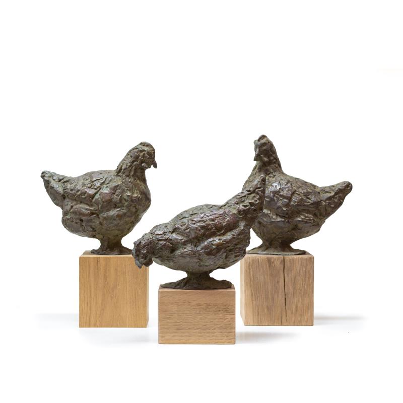 Hoofdfoto Kippetjes (set)