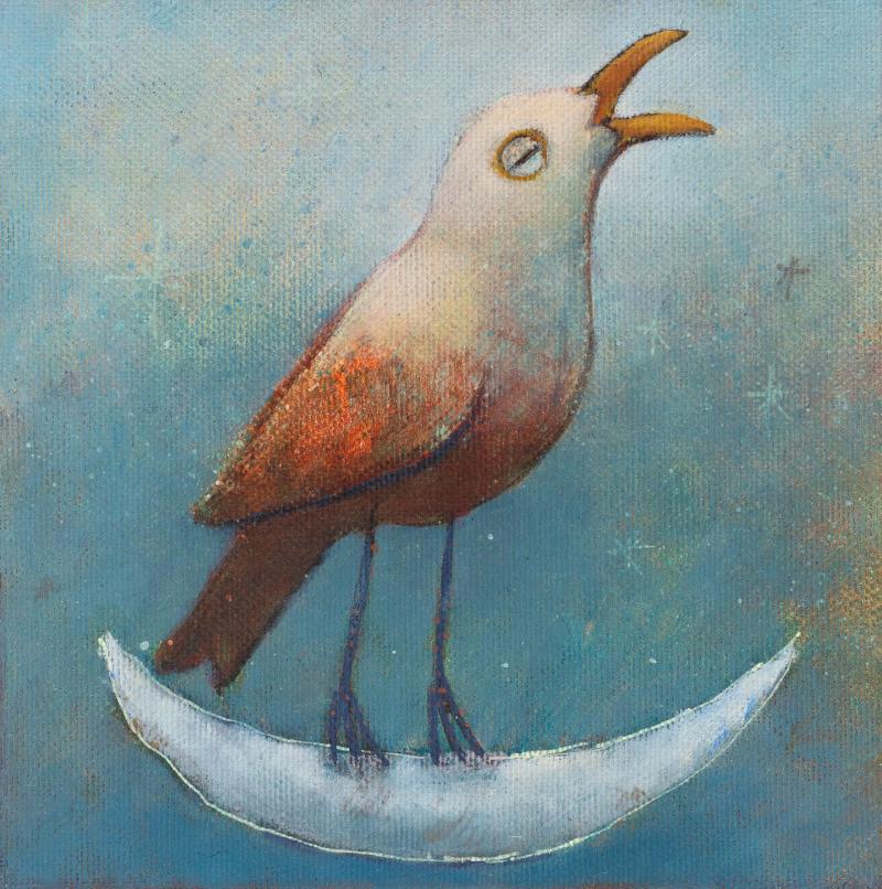 Hoofdfoto Zingende vogel