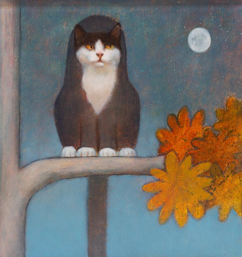 Hoofdfoto Kat in boom