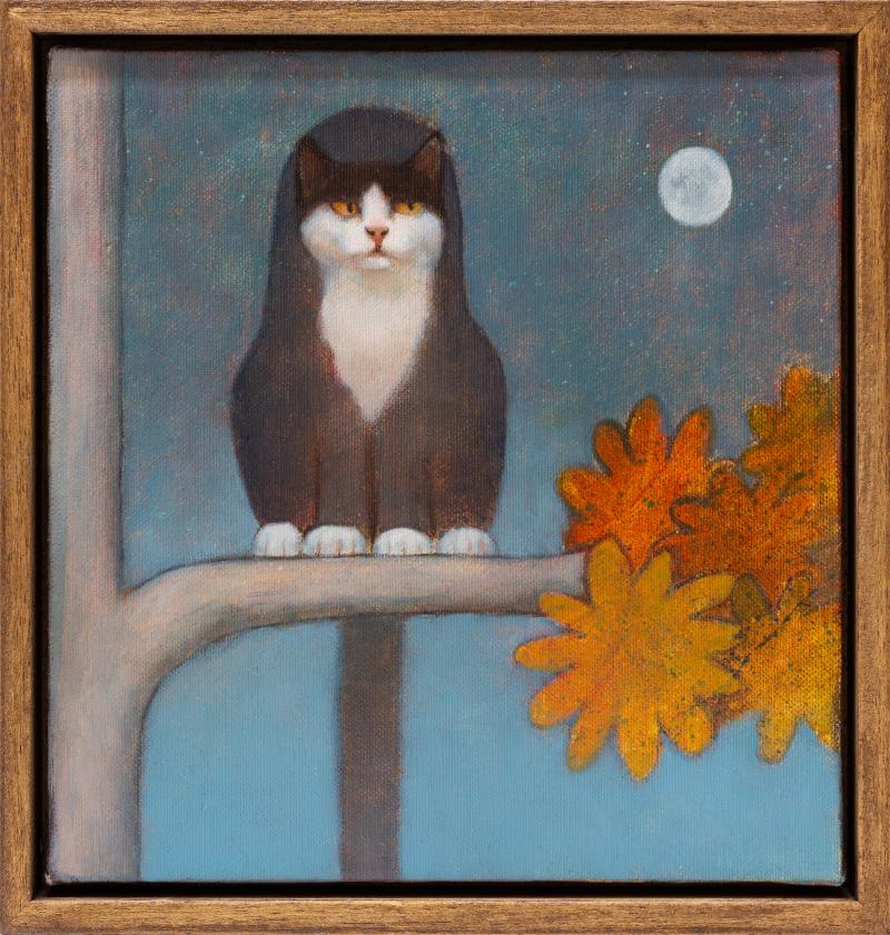 Foto 2 van Kat in boom