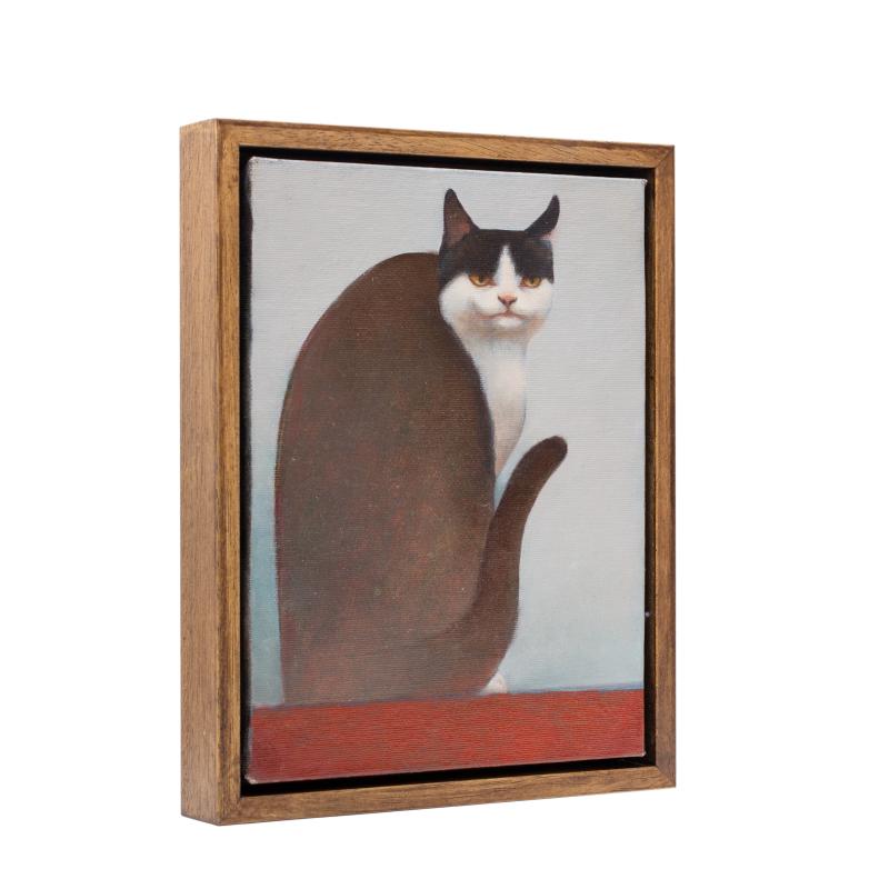 Foto 2 van Een kater