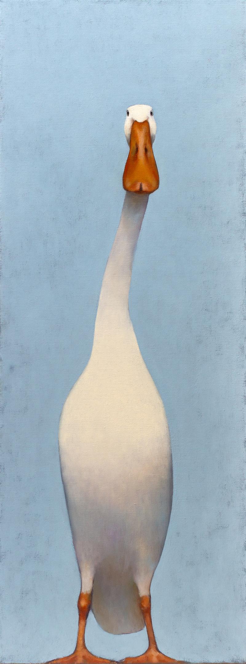 Hoofdfoto Ietwat opdringerig loopeendje