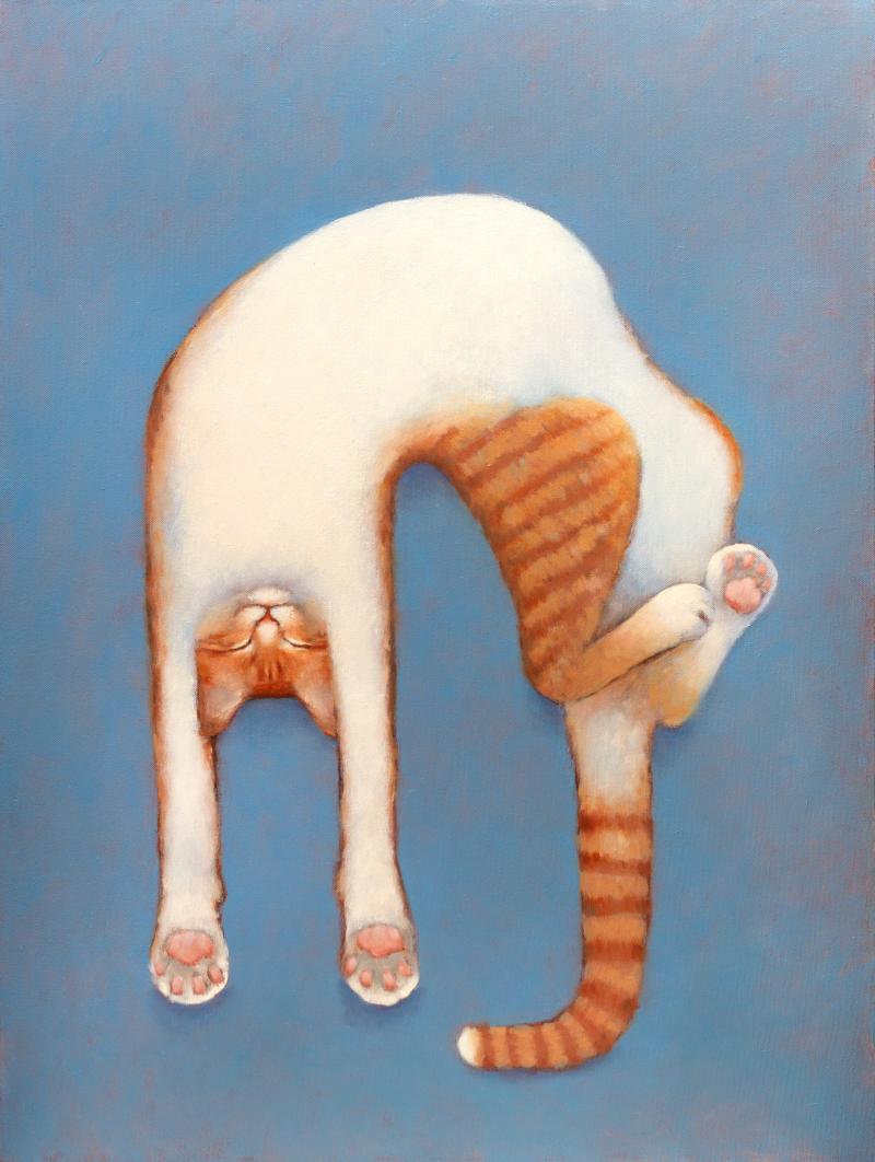 Hoofdfoto Zee ontspannen katertje