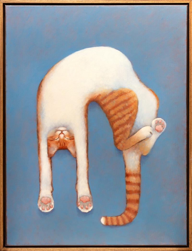 Foto 2 van Zee ontspannen katertje