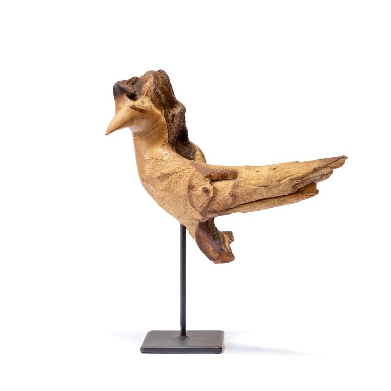 Hoofdfoto Bird (Colophospermum Mopane)