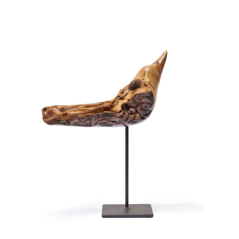 Hoofdfoto Bird