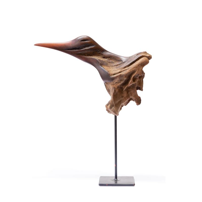 Hoofdfoto Bird