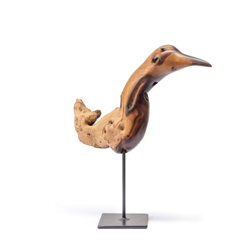 Hoofdfoto Bird