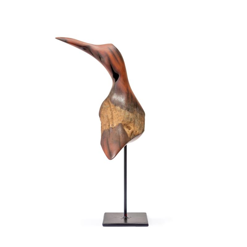 Hoofdfoto Bird