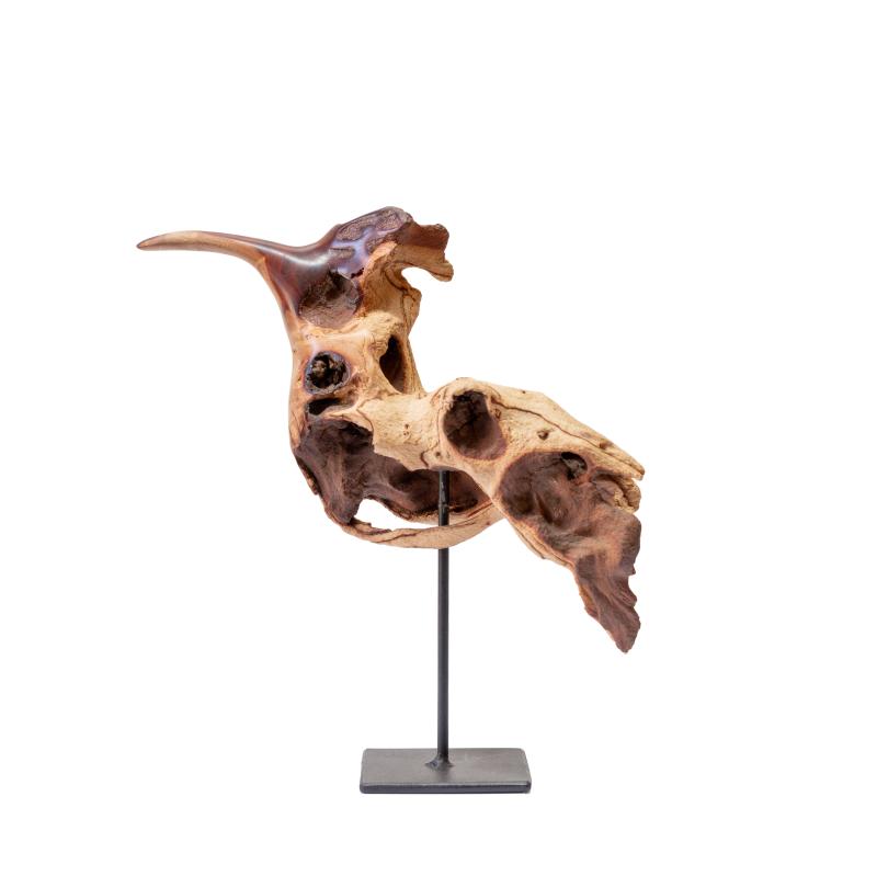 Hoofdfoto Bird