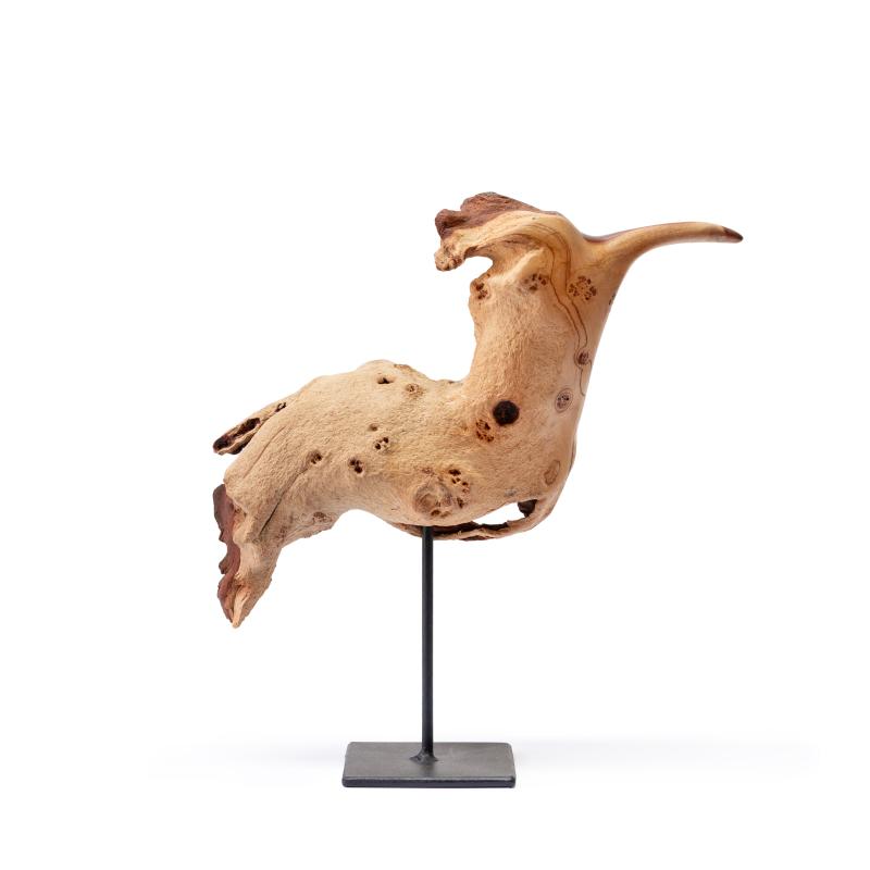 Foto 2 van Bird