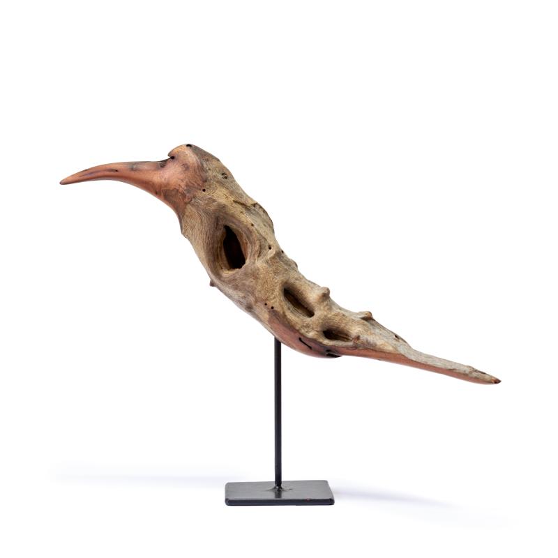 Hoofdfoto Bird
