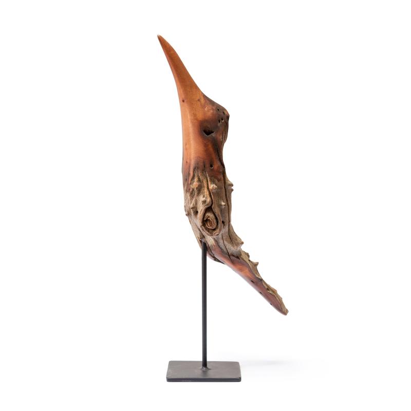 Hoofdfoto Bird