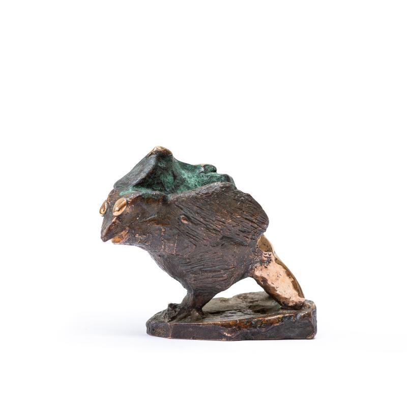 Hoofdfoto Vreemde Vogel 22