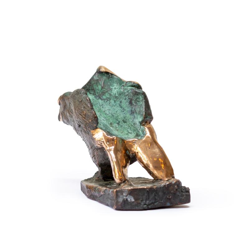 Foto 2 van Vreemde Vogel 22