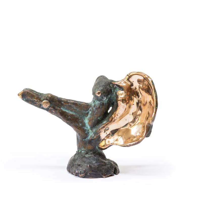 Hoofdfoto Luistervink