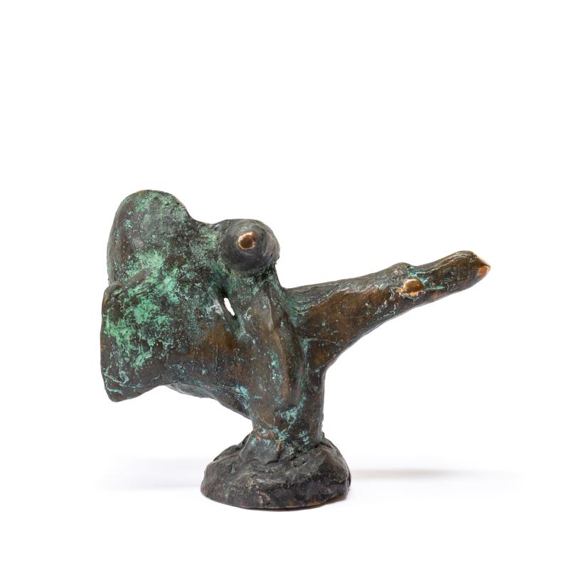 Foto 2 van Luistervink