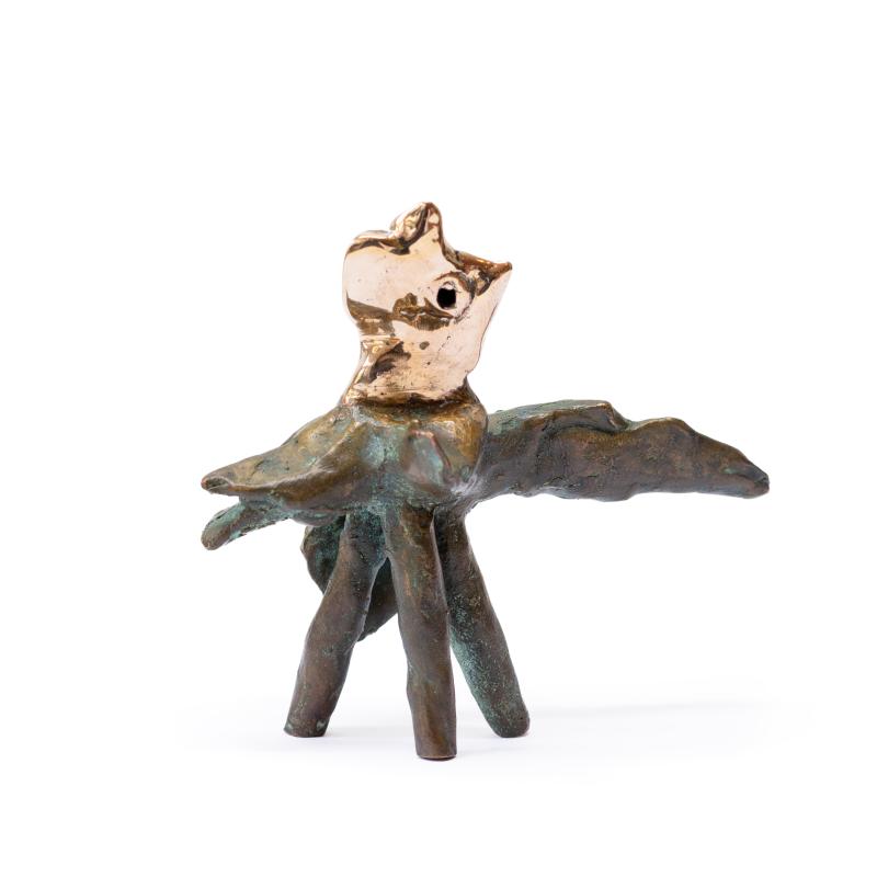 Hoofdfoto Vreemde vogel 9