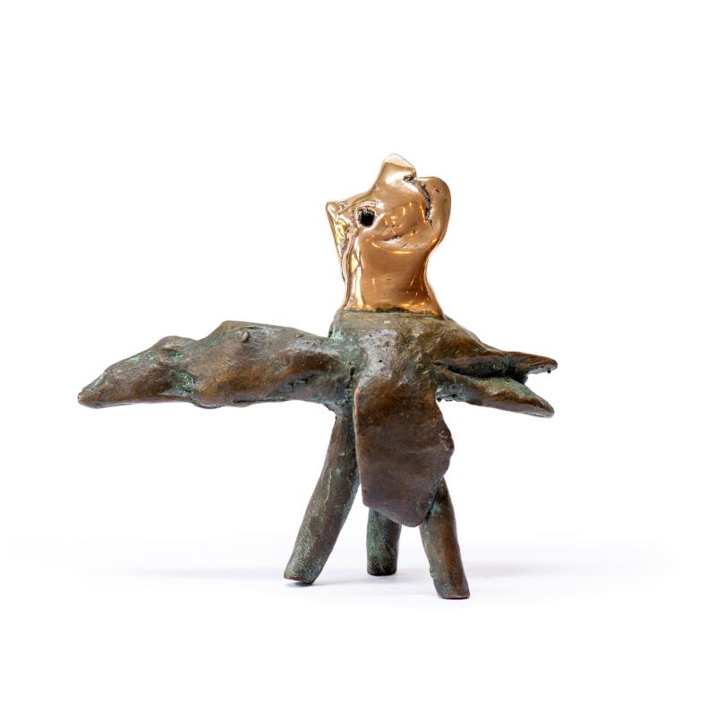 Foto 2 van Vreemde vogel 9