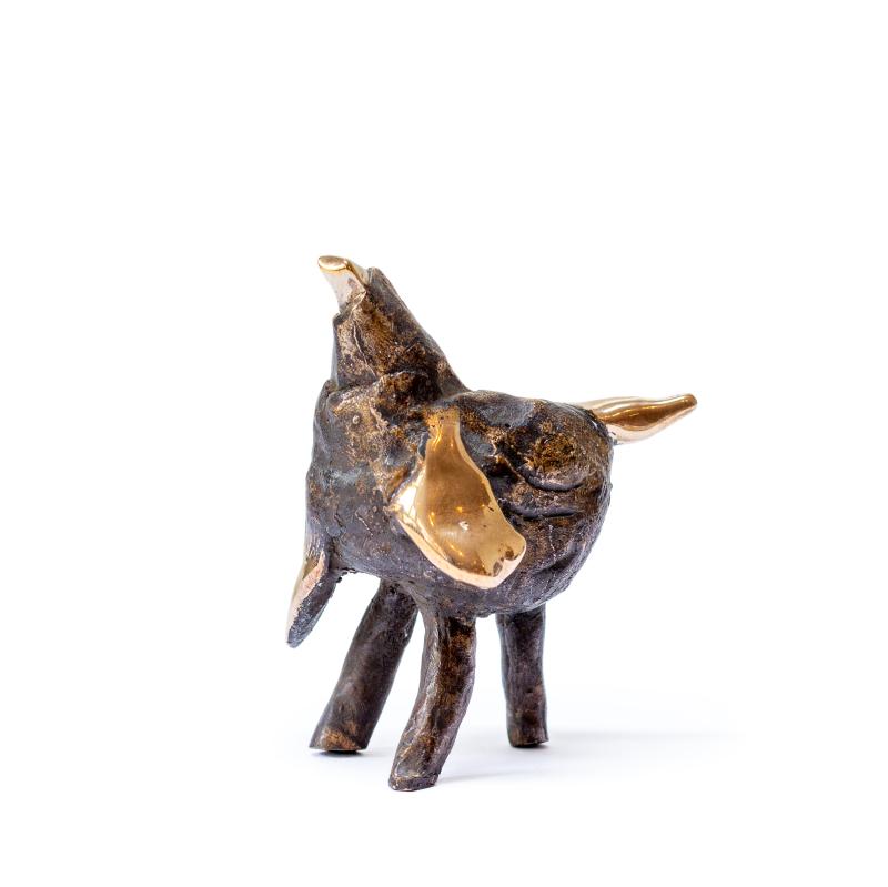 Hoofdfoto Vreemde Vogel 12