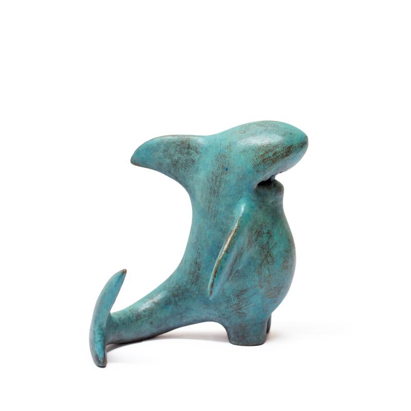 Foto 2 van Shark Boy