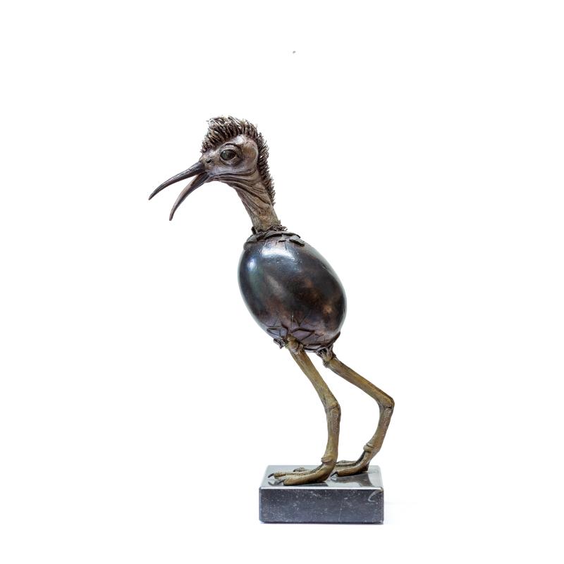Hoofdfoto Young bird