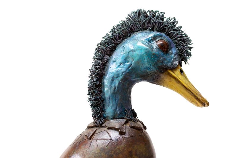 Foto 3 van Young bird