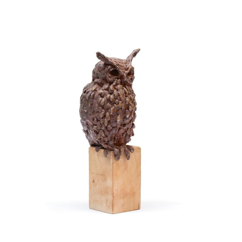 Foto 2 van Oehoe
