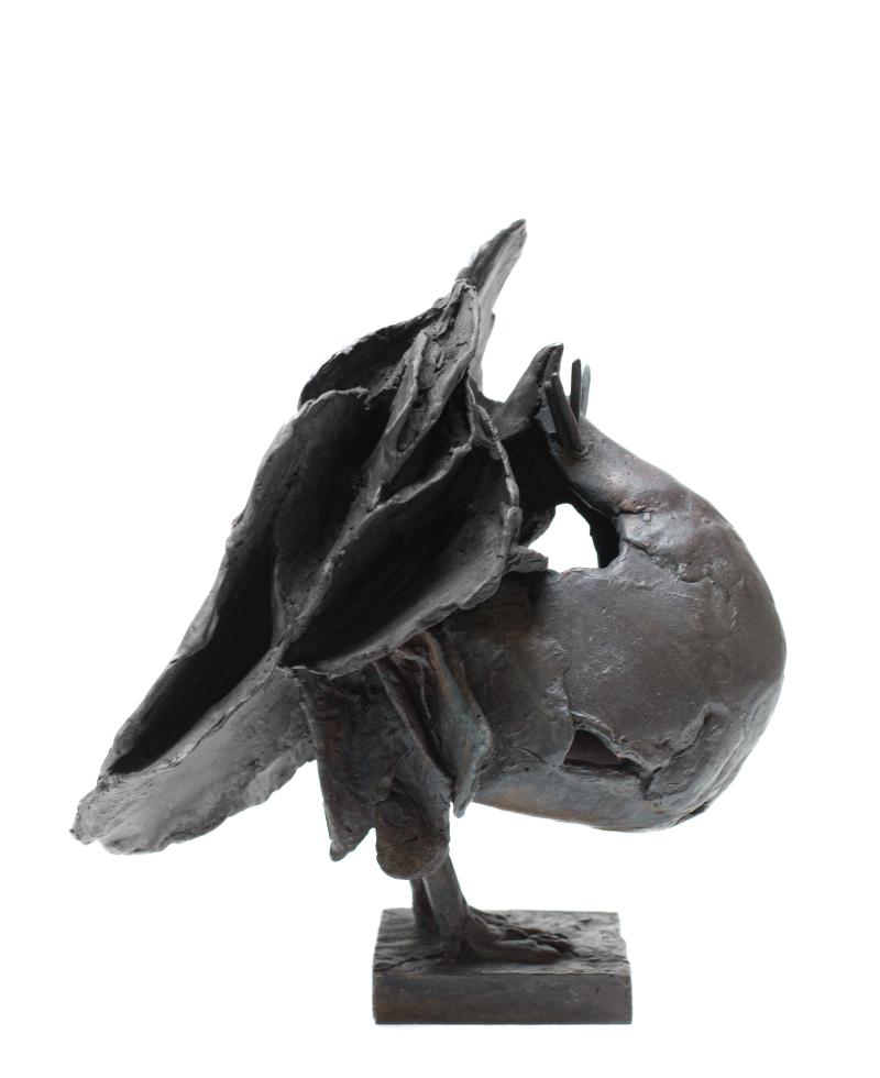 Hoofdfoto Schets Grote Trap